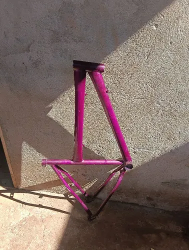 Quadro roxo aro 26