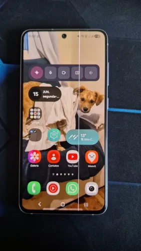 Samsung S21 FE 