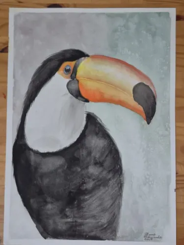 Pintura em Aquarela - Tucano