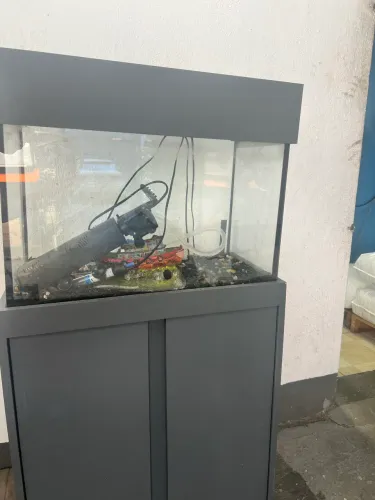 Aquário 60 litros 