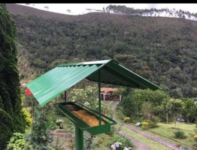 Comedouro de pássaros livres