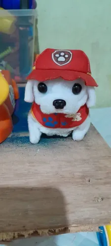 Cachorrinho Patrulha Canina e cachorrinho pula pulga