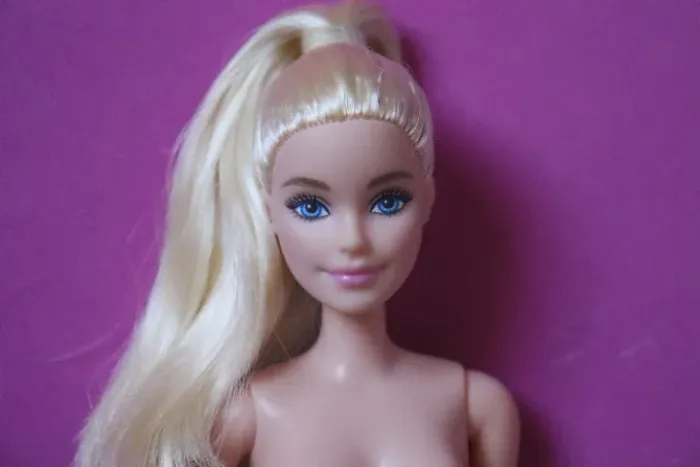 Boneca Barbie Fashionistas 205