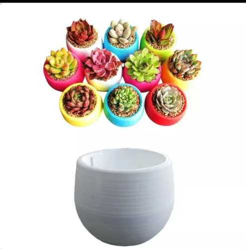 5 Vasos auto irrigaveis brancos