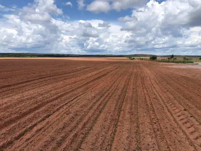 Fazenda com dívida no TO. 2.052hec 60 milhões com 50 de divida