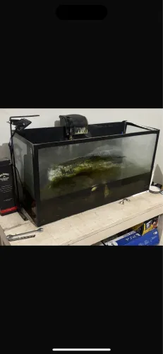 Aquário 100 litros com bomba e termostato