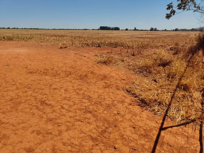 FAZENDA COM 80HEC, JA COM PIVÔ PRA IRRIGAÇÃO!!