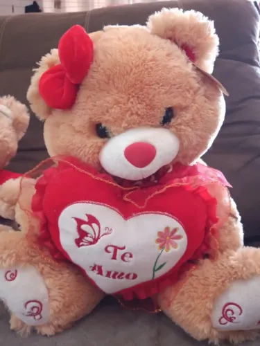 Urso pelúcia
