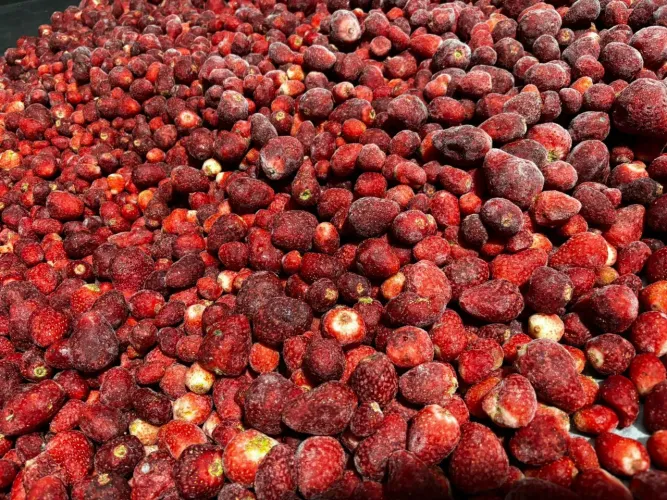 Morango congelado