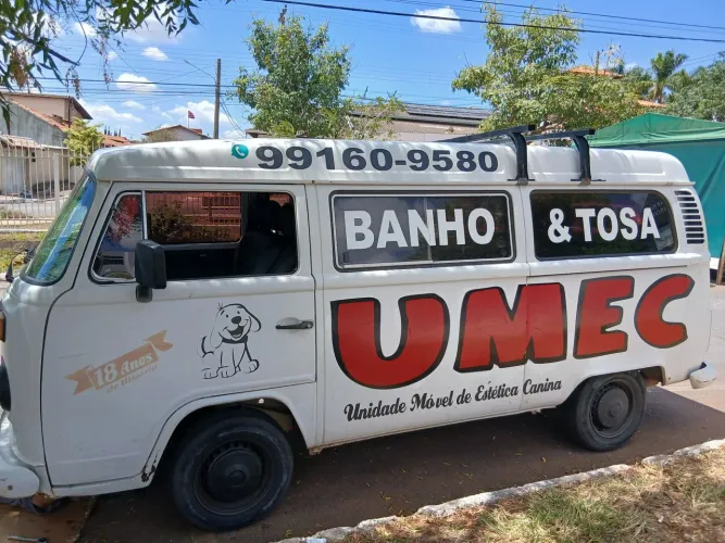 Volkswagen Kombi Escolar 1.6 MPI 1999