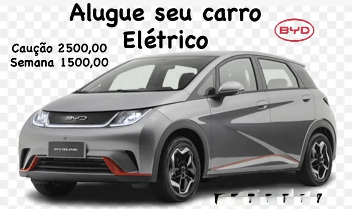 Alugo dolphin GS 2024
