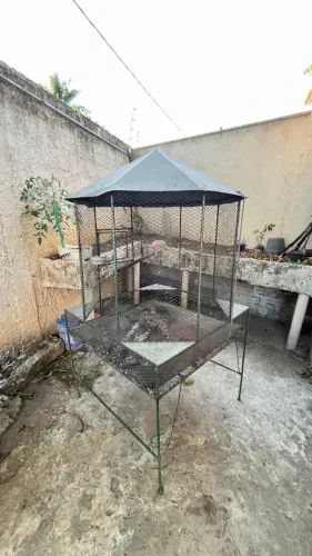 VENDO VIVEIRO PARA PÁSSAROS