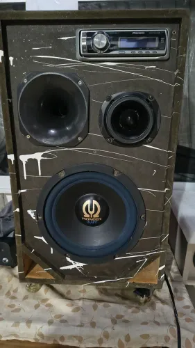 Caixa Bob potente com Pioneer golfinho
