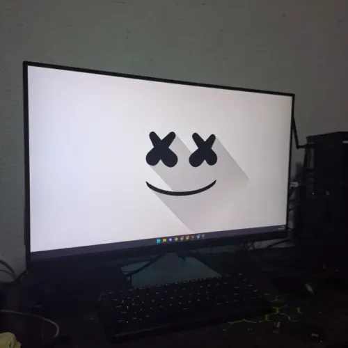 Monitor 240hz full hd 24p