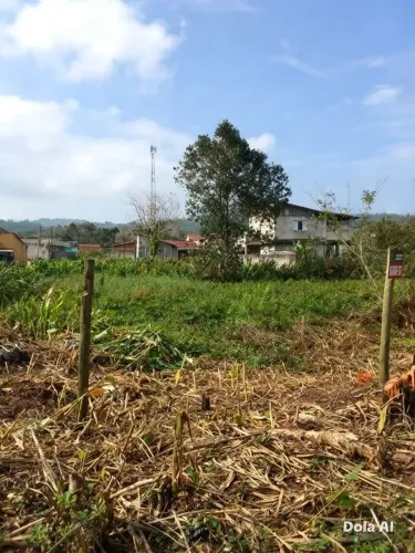 Terreno na ponte preta mage 