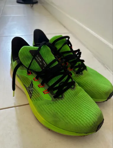 Nike Pegasus TAM 40