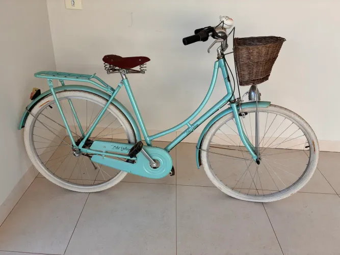 Bicicleta marca Echo Vintage usada
