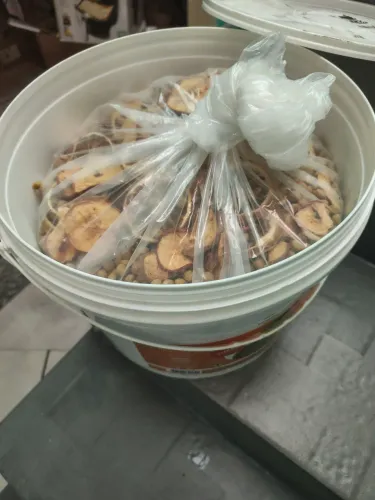 Ração pra psitacídeos de médio e grande porte