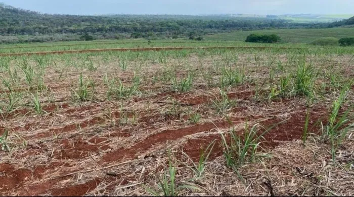 FAZENDA COM CANA A VENDA NA REGIÃO DE SÃO CARLOS-SP ?? Área Total 67 Alqueires 53 Alqueire