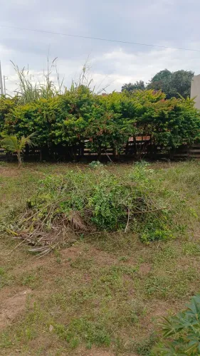 terreno