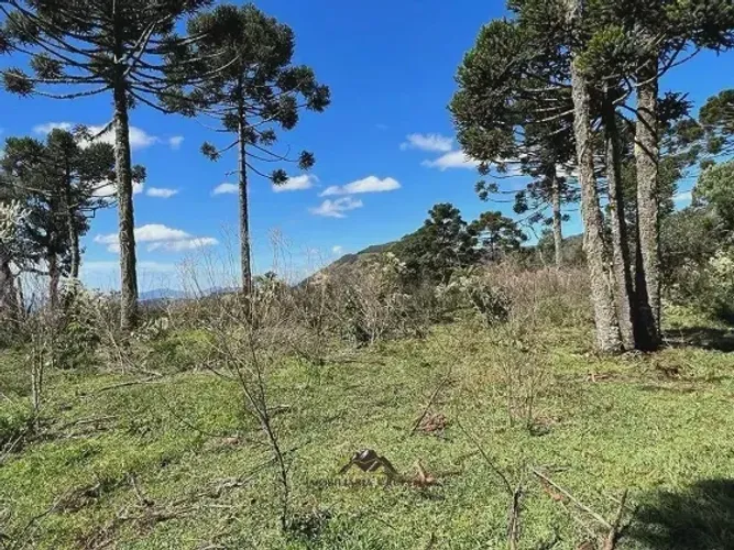 Chácara para venda tem 109000 metros quadrados em Zona Rural - Urupema - SC