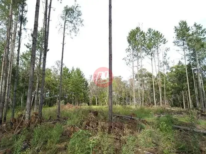 Terreno de Grande Porte 3,59 ha Avenida João Antônio Silveira, Restinga Porto Alegre