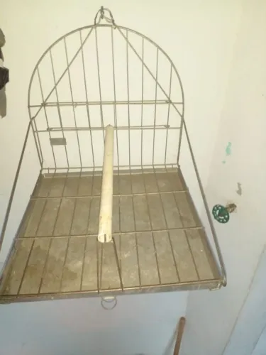 Poleiro para papagaio verdadeiro do grande .