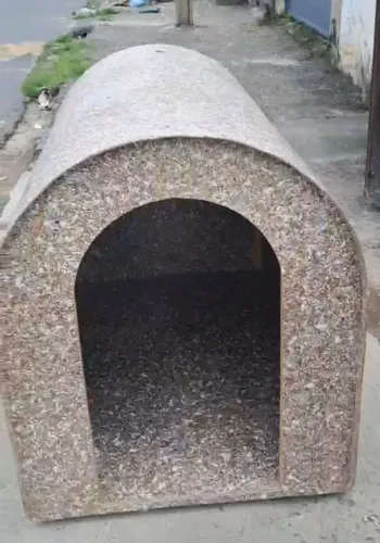 Casa pet