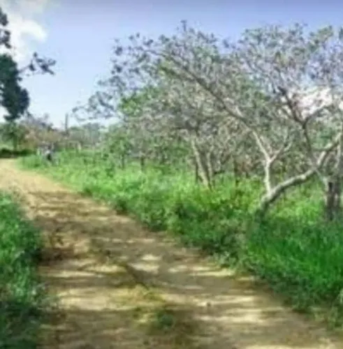 Terreno serra velha 25 mil