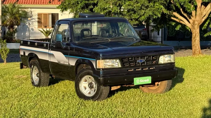 Chevrolet C-20 Custom de Luxe 4.1 1996