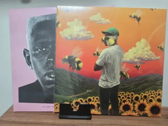 Bundle - Tyler the Creator - Discos de Vinis: Igor e Flower Boy
