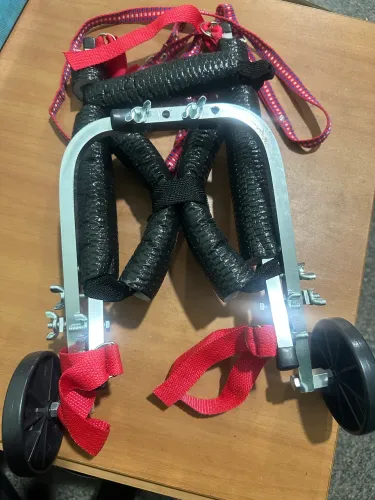 Cadeira para pet