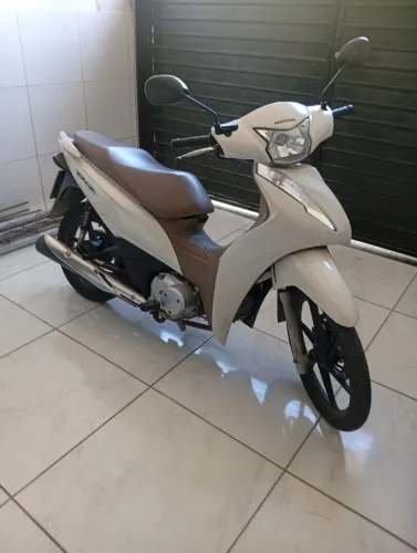 BIZ 2019 ex