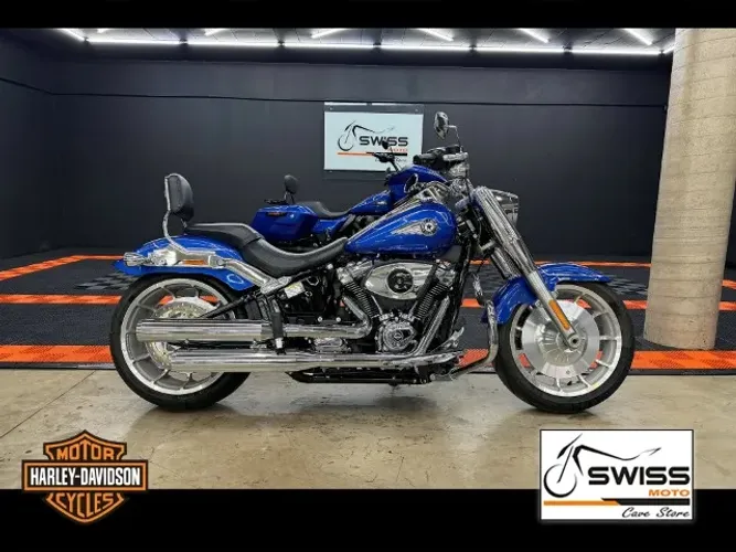 Harley Davidson Fat Boy 117 2025 ** Impecável!