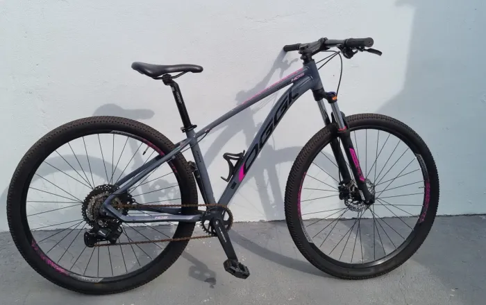 Bicicleta oggi