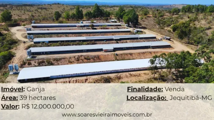GRANJA À VENDA COM 39 HECTARES | JEQUITIBÁ/MG