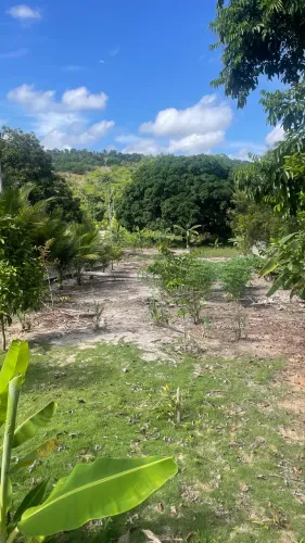 Repasse de Mine chácara litoral sul