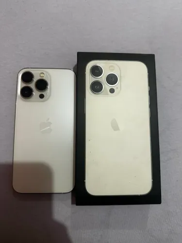 13 pro 256gb