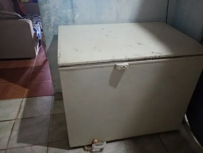 Freezer Electrolux