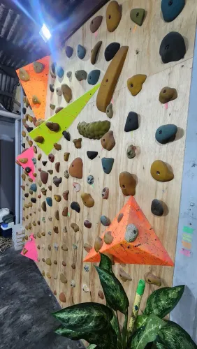 Parede de escalada indolor completa, +- 130 agarras