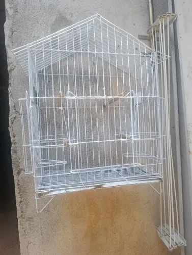 Gaiola passarinho