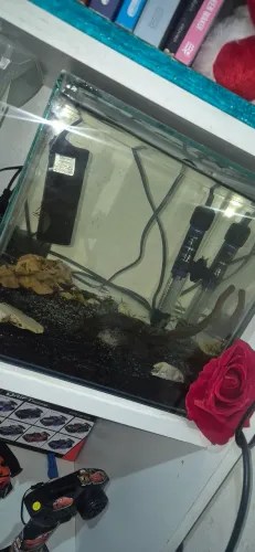 Aquario 15L montado!