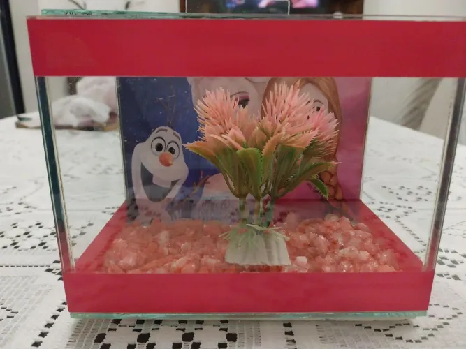 Aquario pequeno 