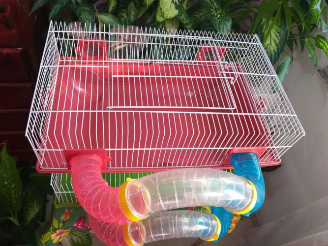 Gaiola de hamster vermelha