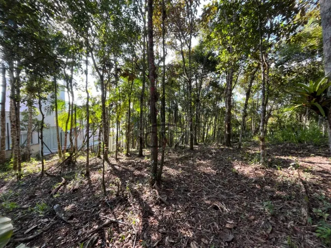 Terreno à venda em Guabiruba-SC, bairro Aimoré, com 6.916,50 m² de área! Venha conferir!