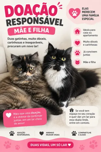 ADOÇÃO RESPONSÁVEL - Persas