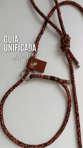 Guia unificada pet