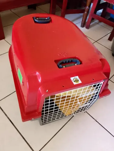Vendo Caixa de transporte $250 reais para gato ou cachorro.