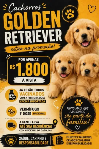Filhote de golden