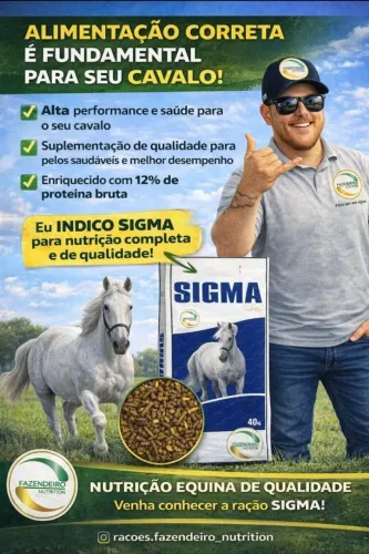Ração para cavalo